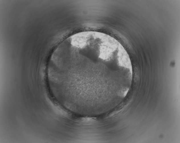 X0000116790451201001291522