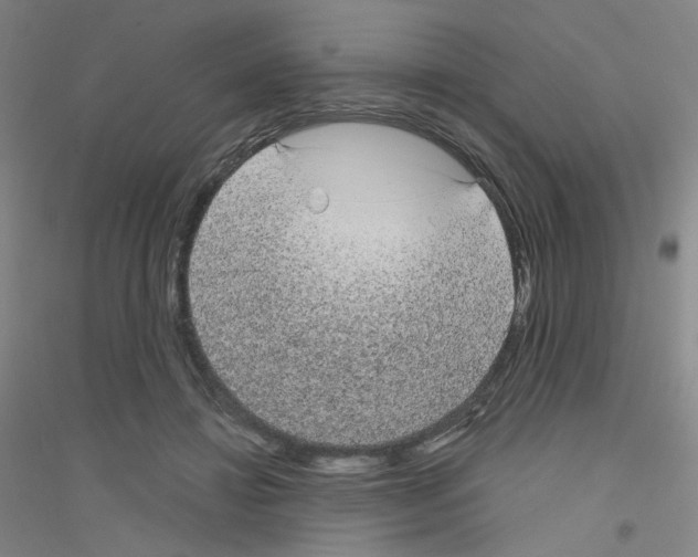 X0000116790452201001291522