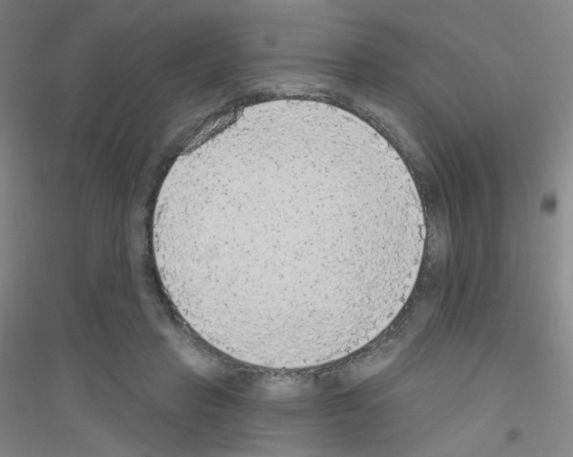 X0000116790453201001291522