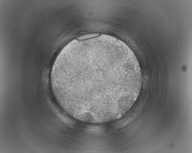 X0000116790454201001291522