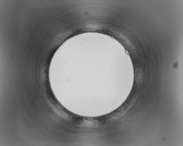 X0000116790455201001291522