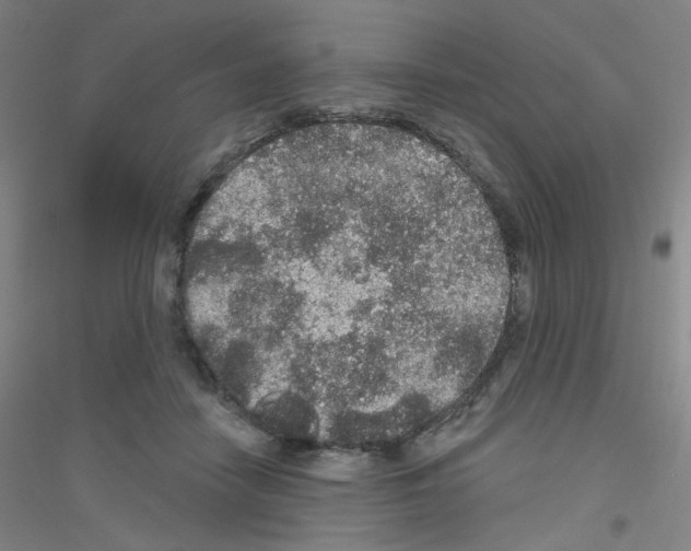 X0000116790458201001291522