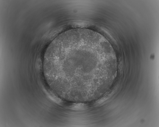 X0000116790459201001291522
