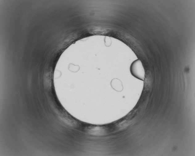 X0000116790460201001291522