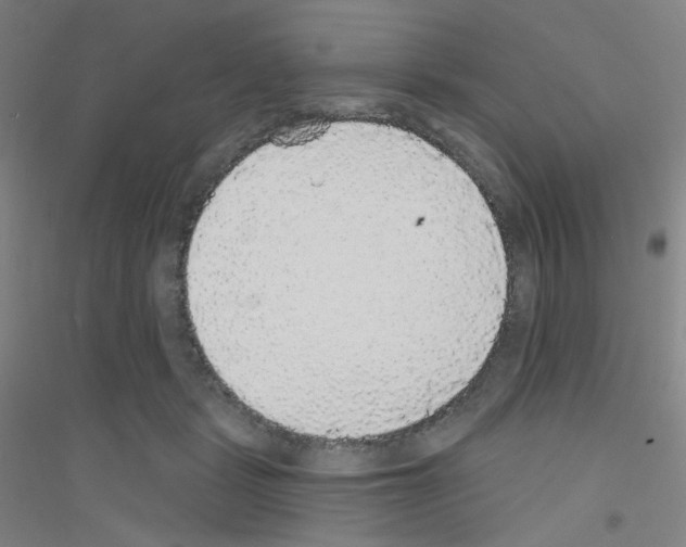 X0000116790461201001291522