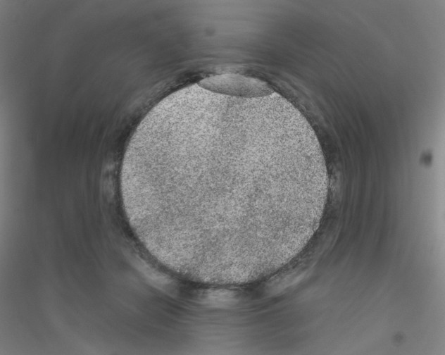 X0000116790462201001291522