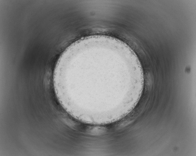 X0000116790463201001291522