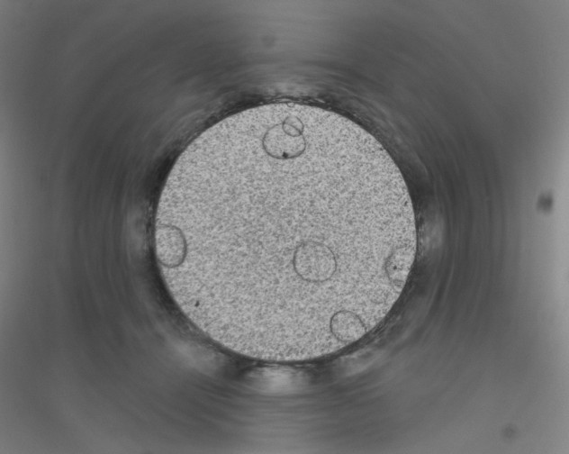 X0000116790464201001291522