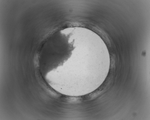 X0000116790465201001291522