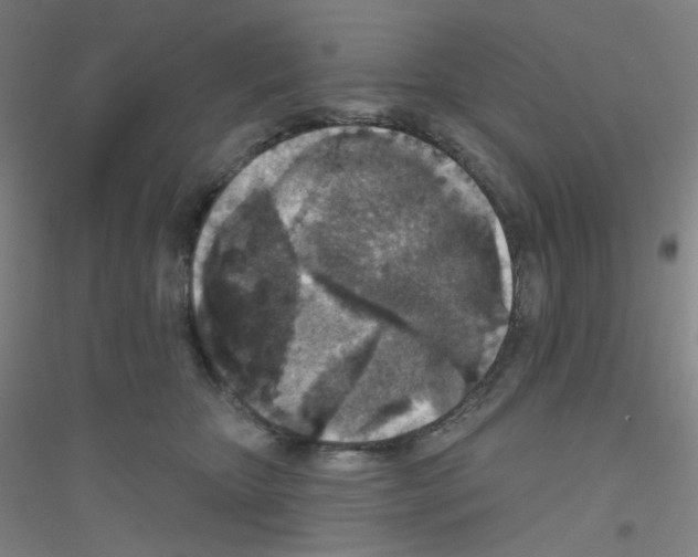 X0000116790467201001291522