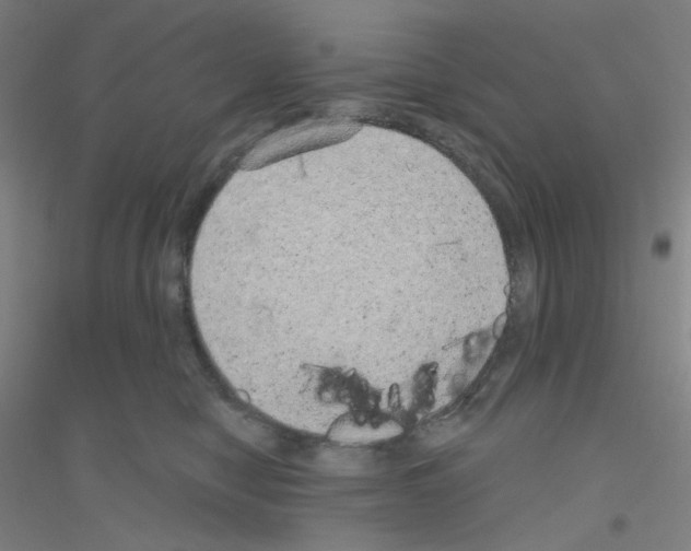 X0000116790470201001291522