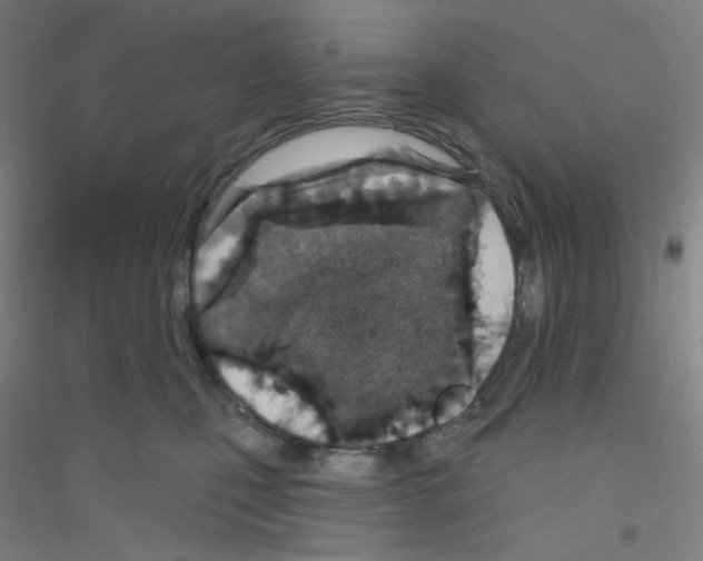 X0000116790471201001291522