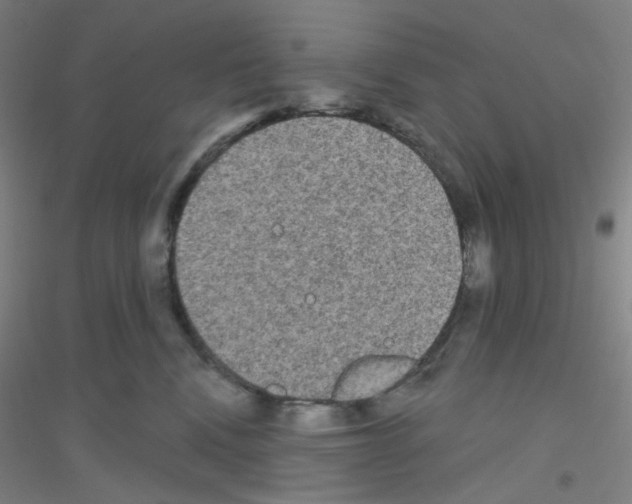 X0000116790472201001291522