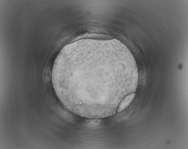 X0000116790474201001291522