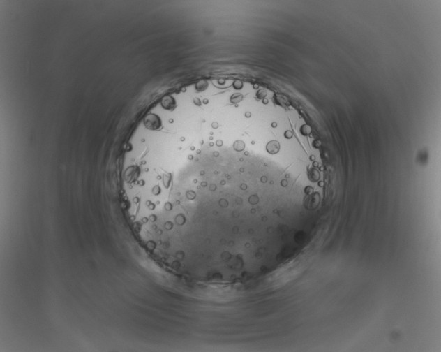 X0000116790475201001291522