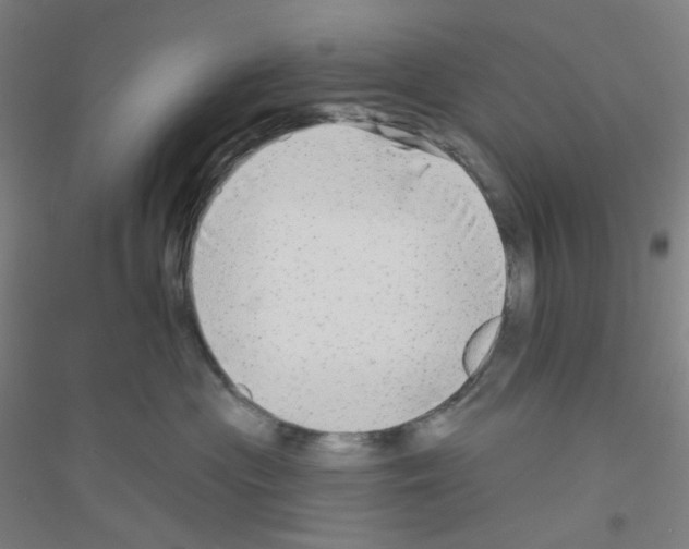 X0000116790477201001291522