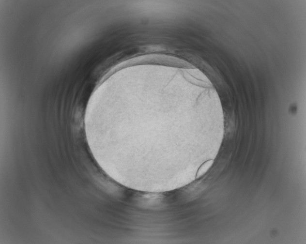 X0000116790478201001291522