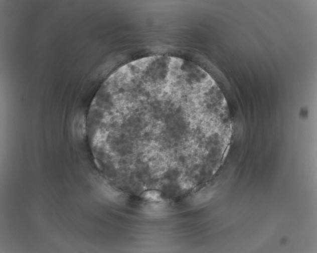 X0000116790479201001291522