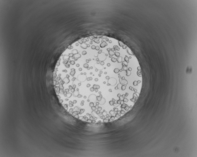 X0000116790480201001291522