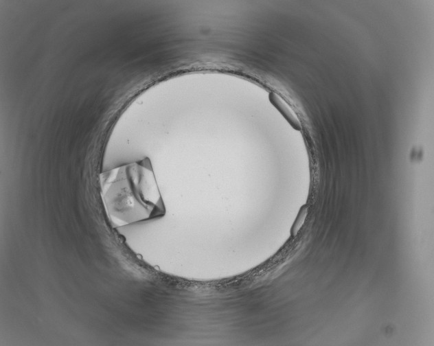 X0000116790481201001291522