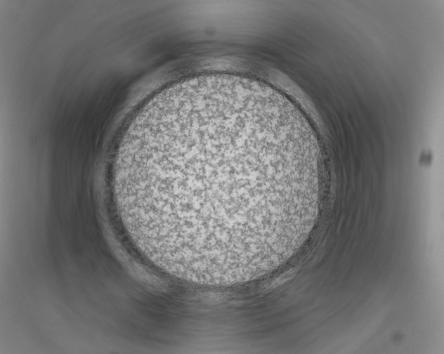 X0000116790482201001291522
