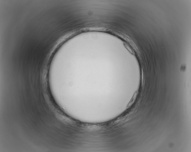 X0000116790483201001291522