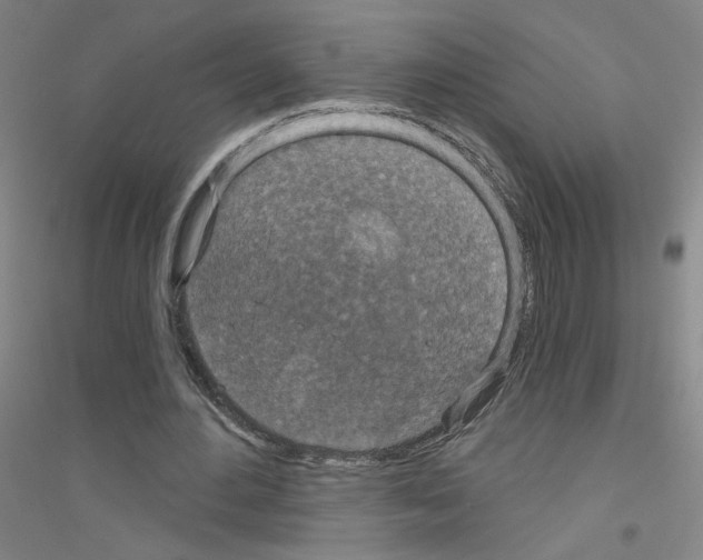X0000116790484201001291522