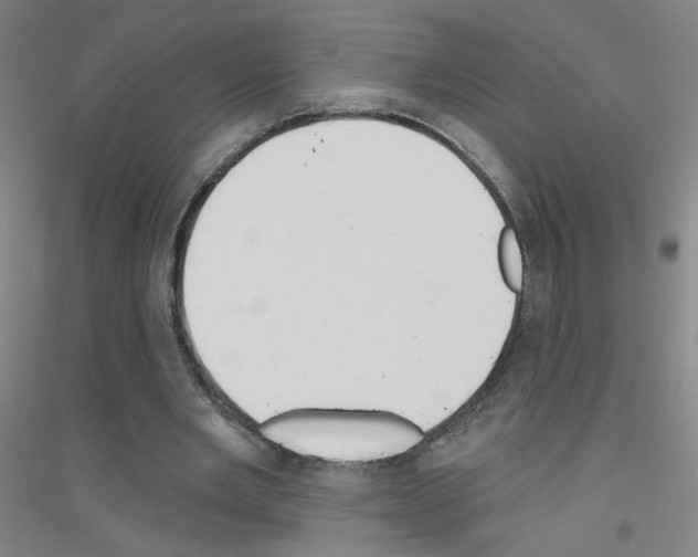 X0000116790485201001291522