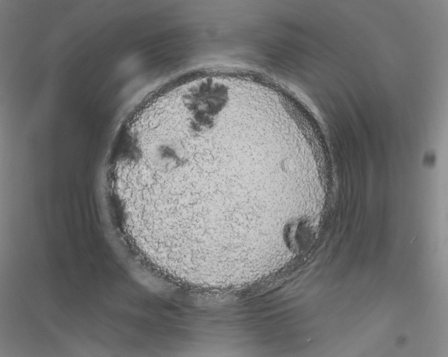 X0000116790487201001291522