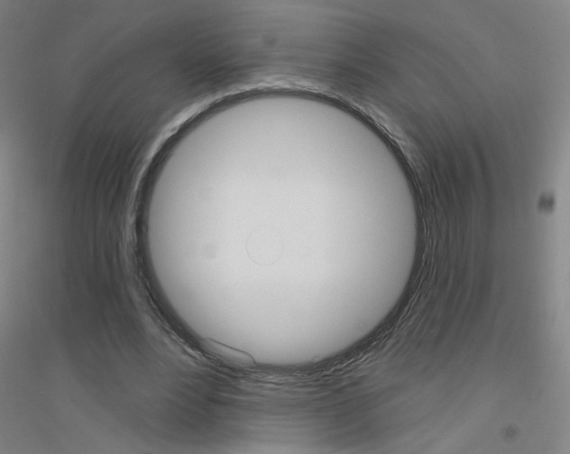 X0000116790488201001291522
