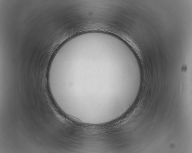 X0000116790489201001291522