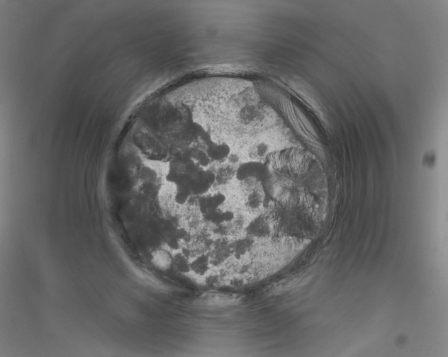 X0000116790491201001291522