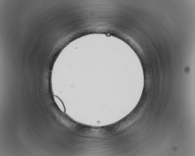 X0000116790493201001291522