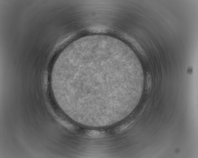 X0000116790494201001291522