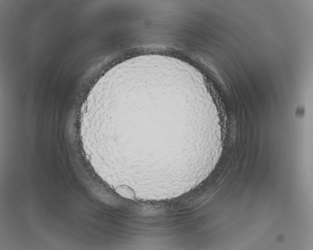 X0000116790495201001291522