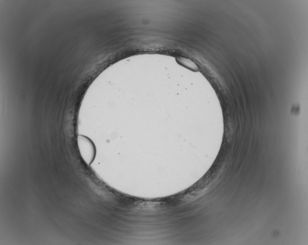 X0000116790497201001291522