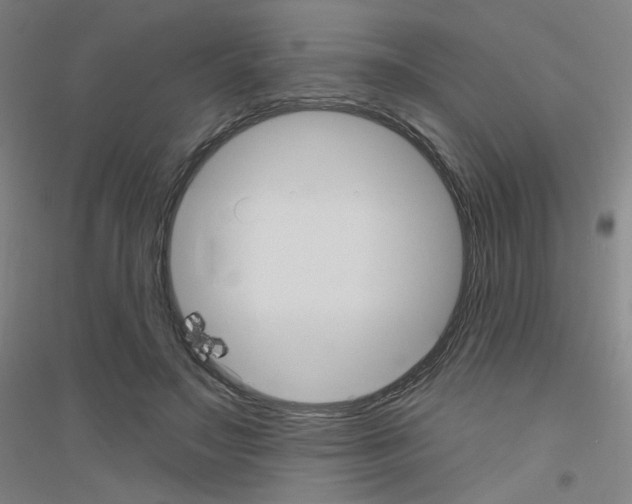 X0000116790499201001291522