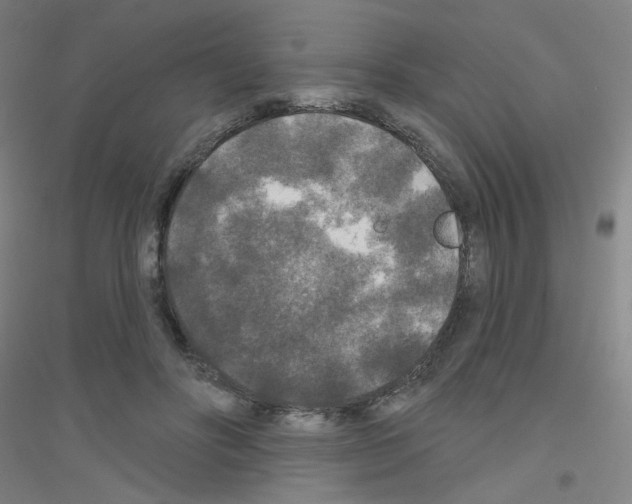X0000116790502201001291521