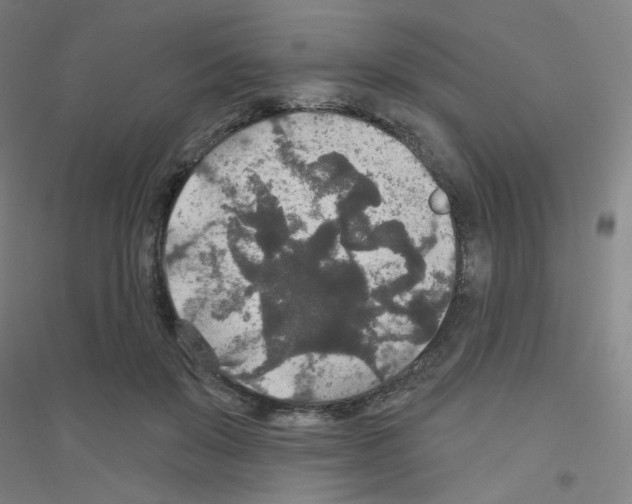 X0000116790503201001291521