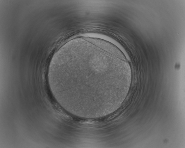 X0000116790504201001291521