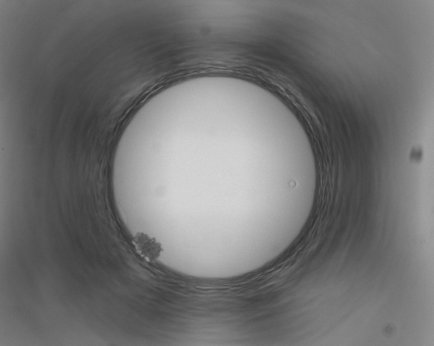 X0000116790505201001291521