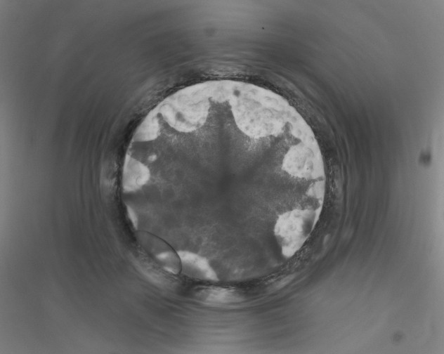 X0000116790507201001291521