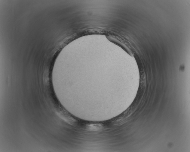 X0000116790508201001291521
