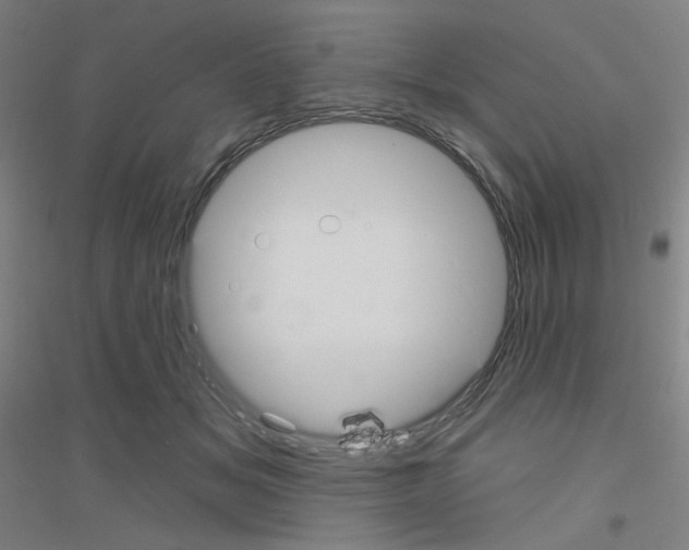 X0000116790509201001291521