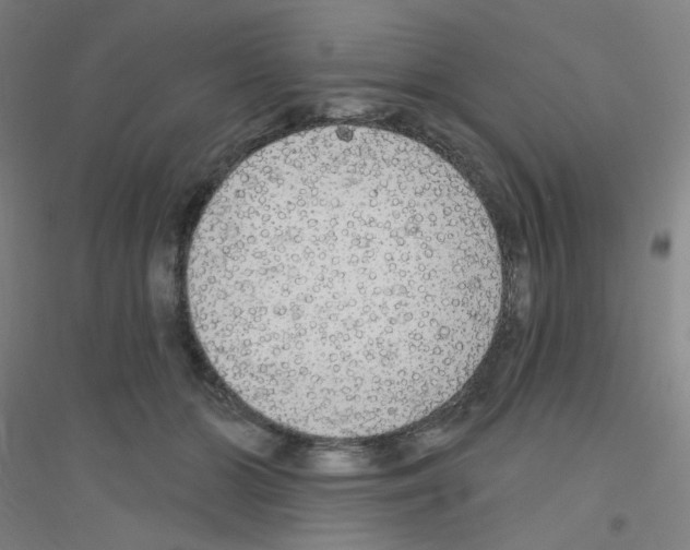 X0000116790510201001291521