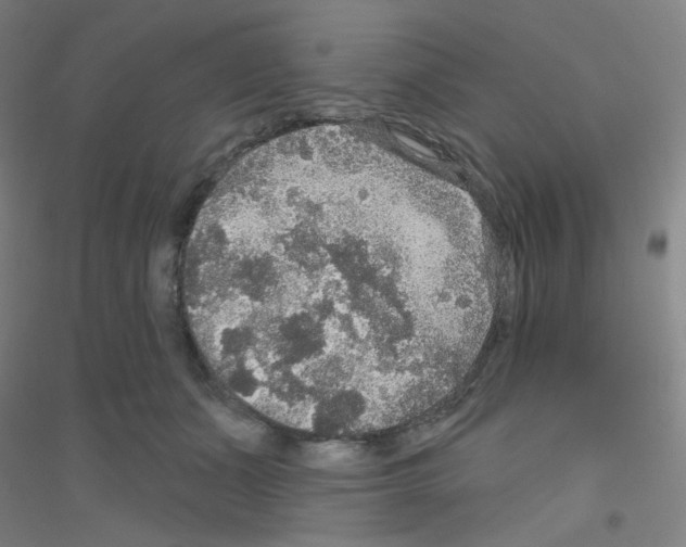X0000116790511201001291521