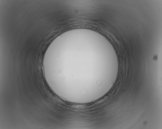 X0000116790513201001291521