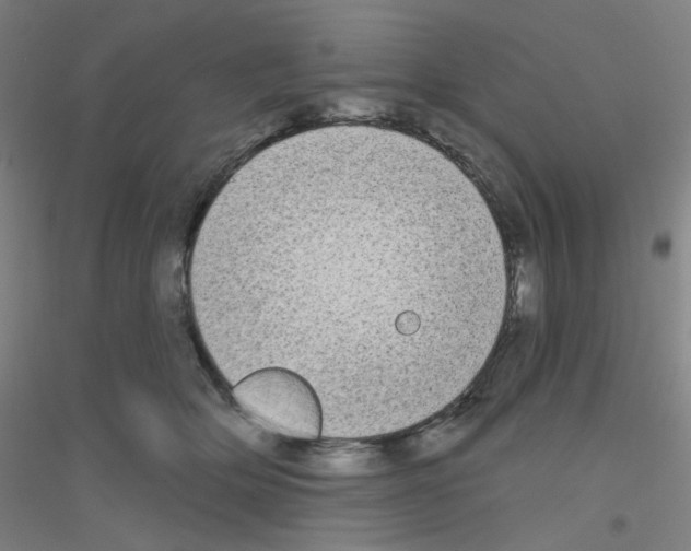 X0000116790514201001291521