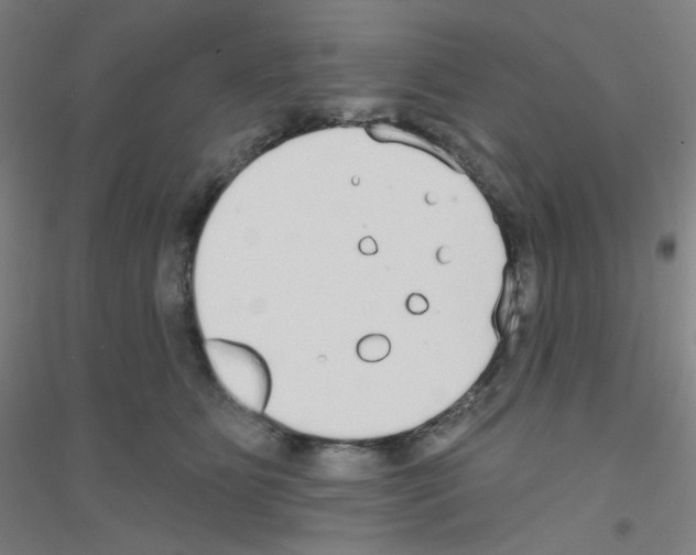 X0000116790515201001291521