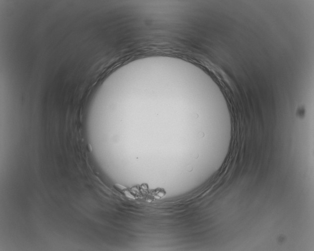 X0000116790517201001291521